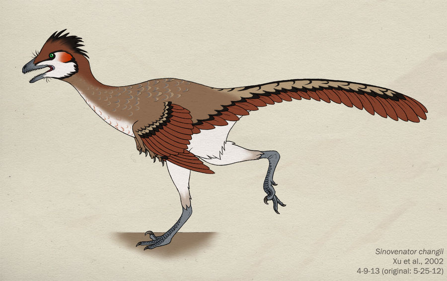 042--SINOVENATOR CHANGII by Green-Mamba