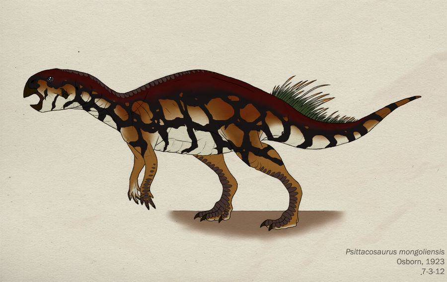 052--PSITTACOSAURUS MONGOLIENSIS by Green-Mamba