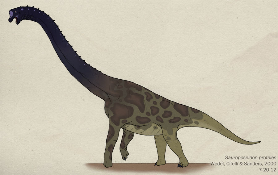 057--SAUROPOSEIDON PROTELES by Green-Mamba