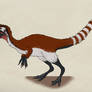 062--SINOSAUROPTERYX PRIMA
