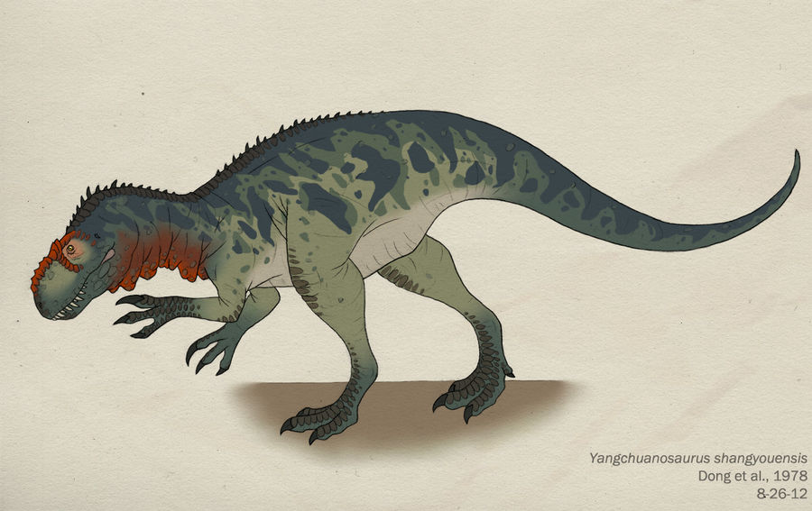 065--YANGCHUANOSAURUS SHANGYOUENSIS