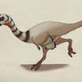 069--CITIPATI OSMOLSKAE