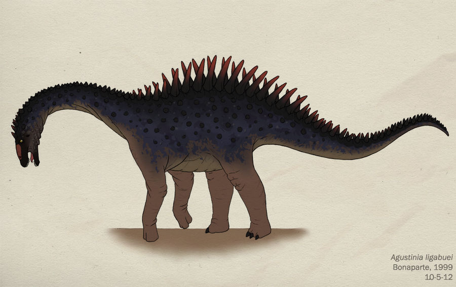 077--AGUSTINIA LIGABUEI by Green-Mamba