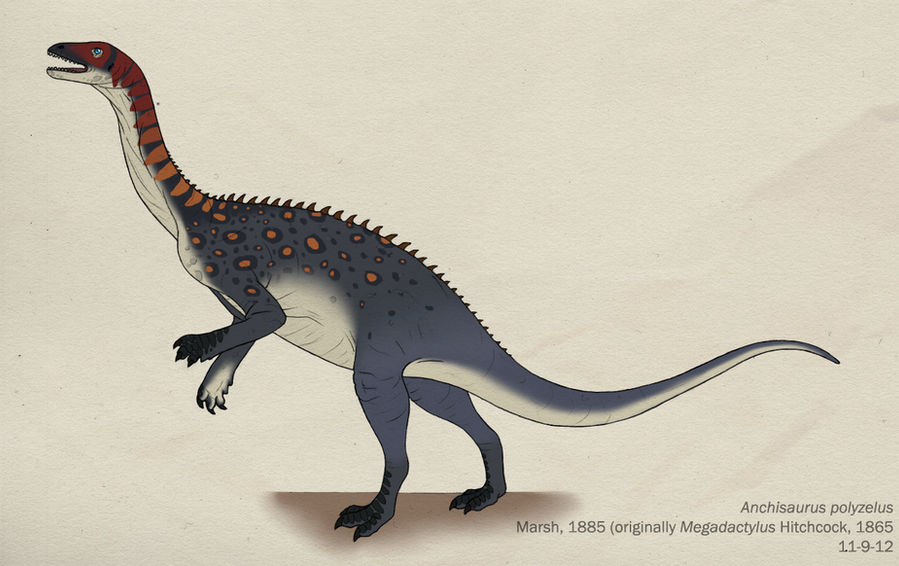 087--ANCHISAURUS POLYZELUS by Green-Mamba