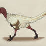 095--VELOCIRAPTOR MONGOLIENSIS