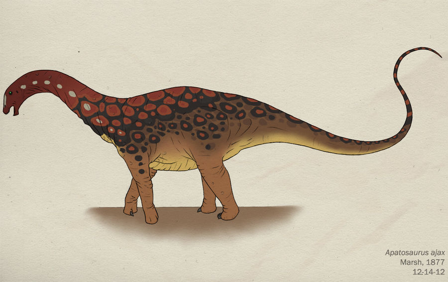 097--APATOSAURUS AJAX
