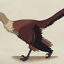 100--ARCHAEOPTERYX LITHOGRAPHICA
