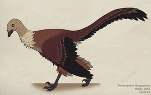 100--ARCHAEOPTERYX LITHOGRAPHICA