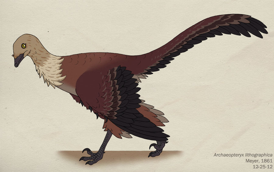 100--ARCHAEOPTERYX LITHOGRAPHICA