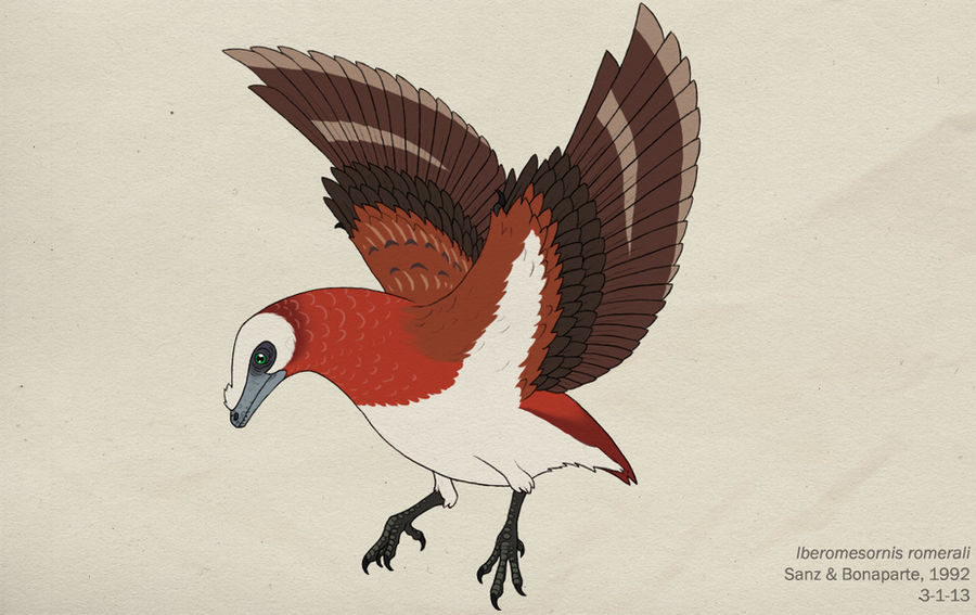 105--IBEROMESORNIS ROMERALI by Green-Mamba