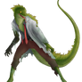 006--Lizard