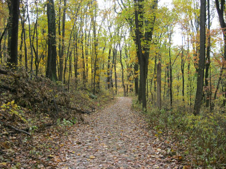 Shenandoah National Park