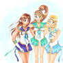 Sailor Warriors