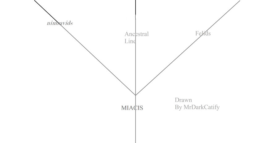 Evolution lines by DarkCatTheKhajjit on DeviantArt