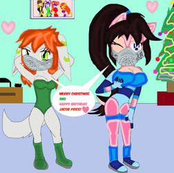 Christmas gift 2: Christmas ninja furries