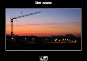 The crane