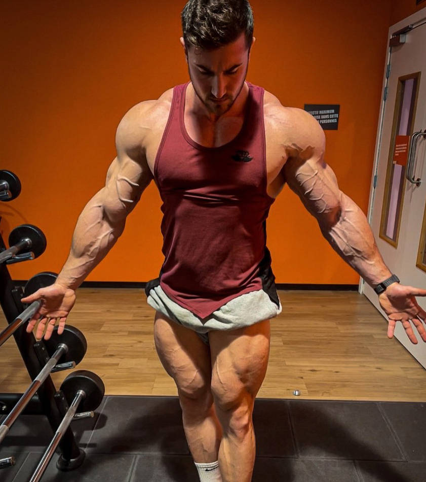 Vassaux 33 by jaxzonmapiele on DeviantArt