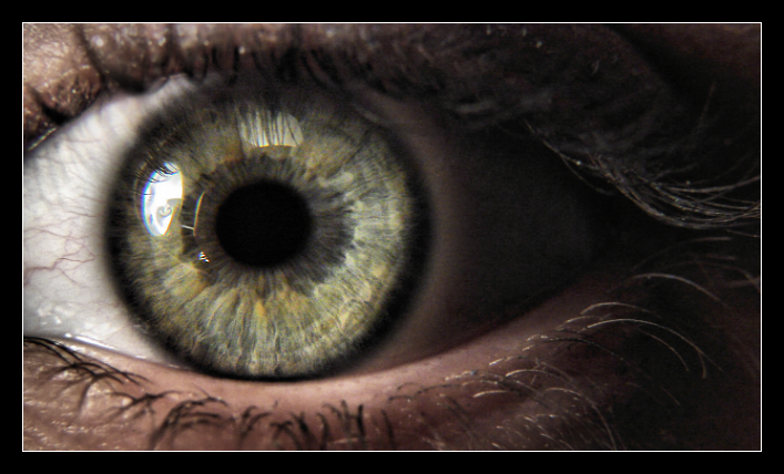 Human Eye