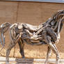 Wooden Horse Stock