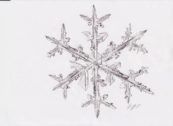 Snowflake