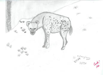 My Hyena Pet