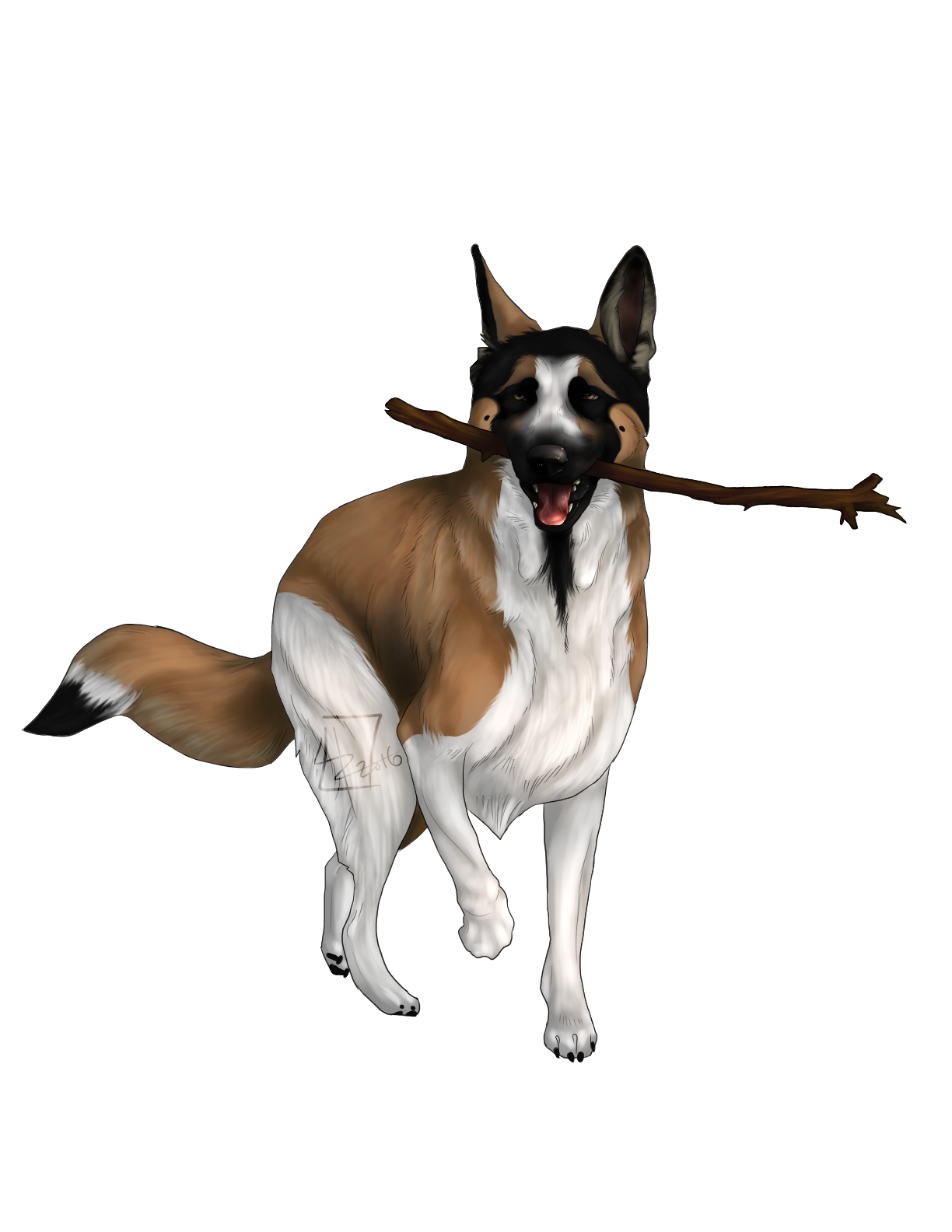 Commission: Panda GSD on HDF (1 of 2)