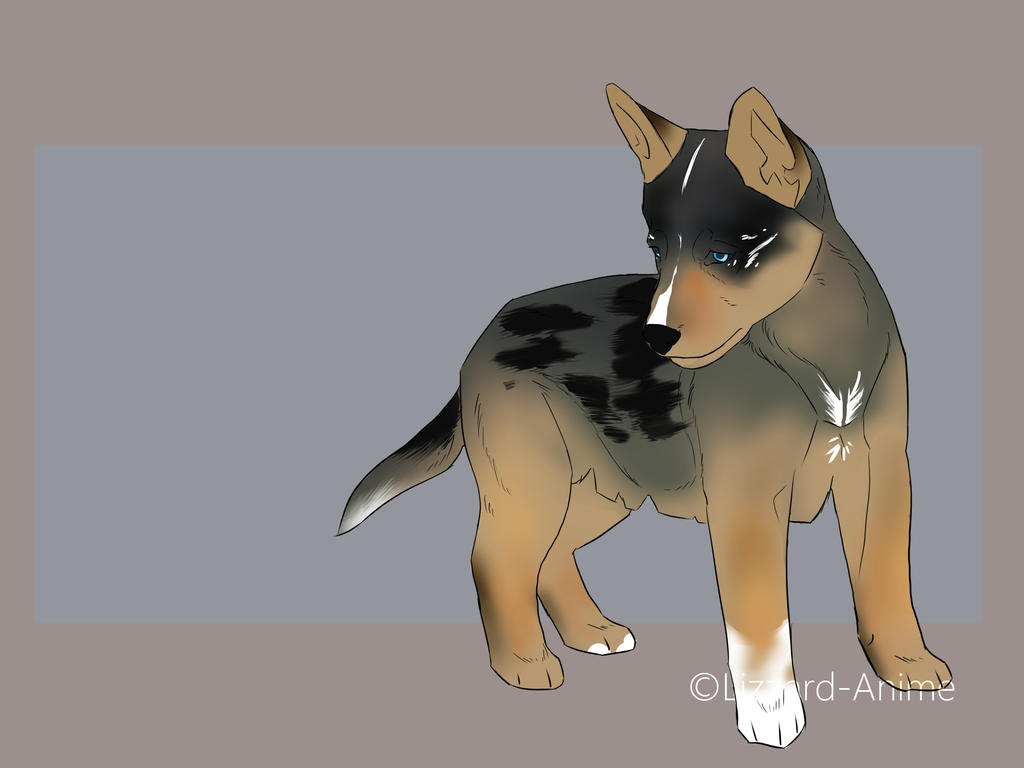 Custom Pup 1 by LizzardDraws on DeviantArt