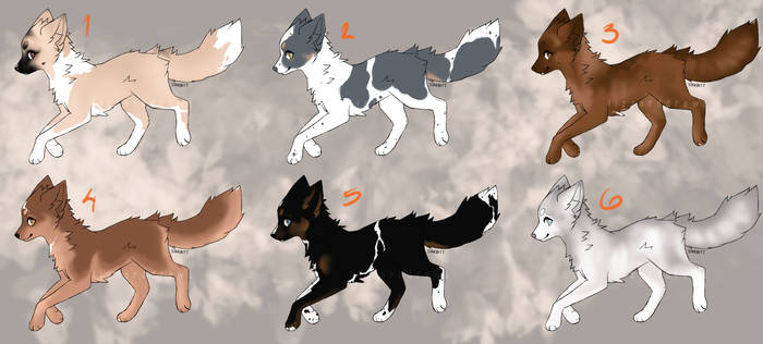 Canine Adopts OPEN