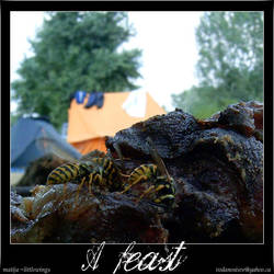 A feast II