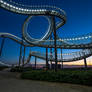 Tiger and Turtle