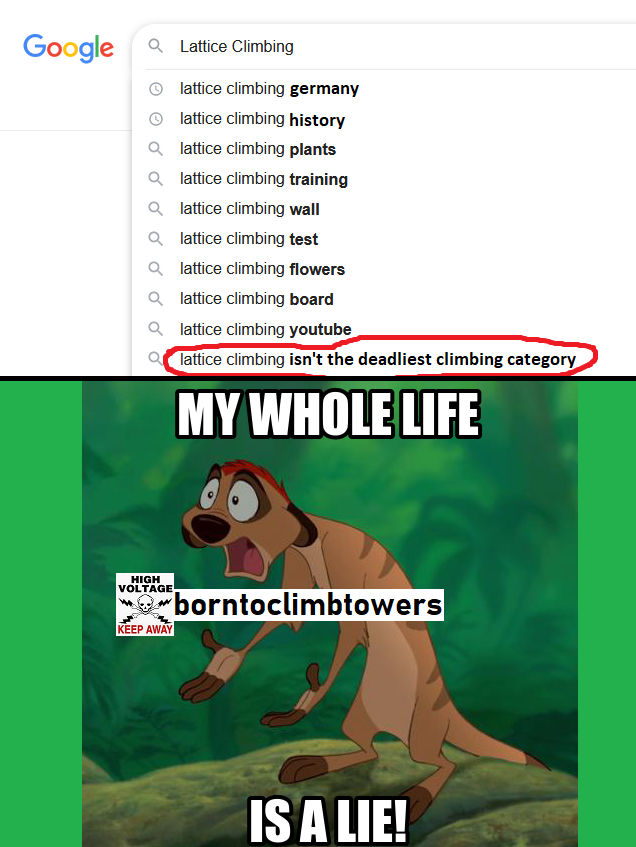Timon Meme by voltagelife7 on DeviantArt