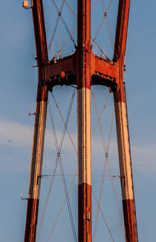 Sutro Tower