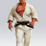 Judo Fighter