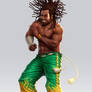 Capoeira Fighter