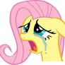 Fluttershy - The Face of Sorrow