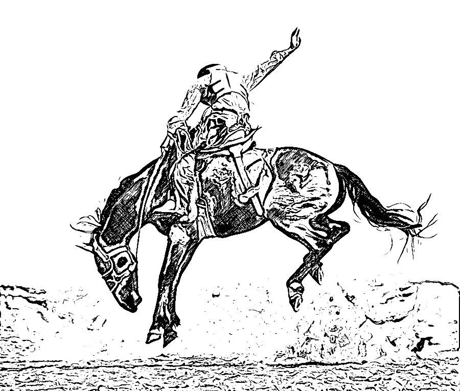 Rodeo Digital Drawing1 by Enchanted367Part2 on DeviantArt