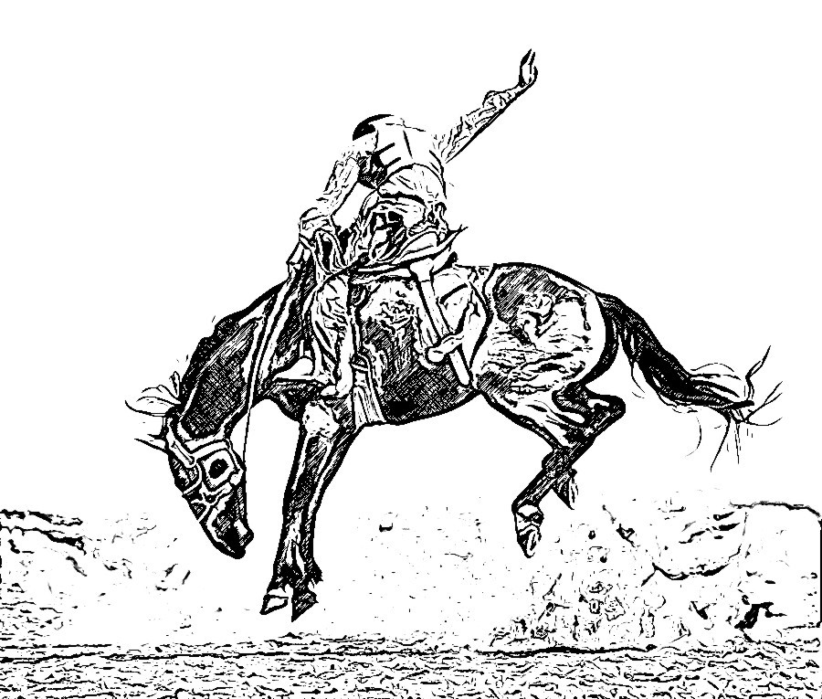 Rodeo Digital Drawing1 by Enchanted367Part2 on DeviantArt