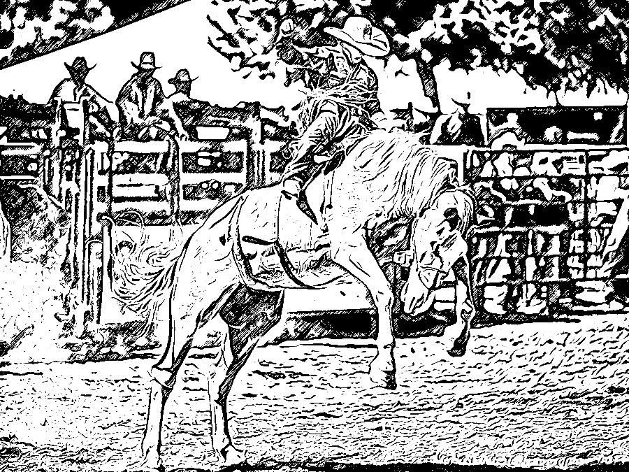 Rodeo Digital Drawing3 by Enchanted367Part2 on DeviantArt