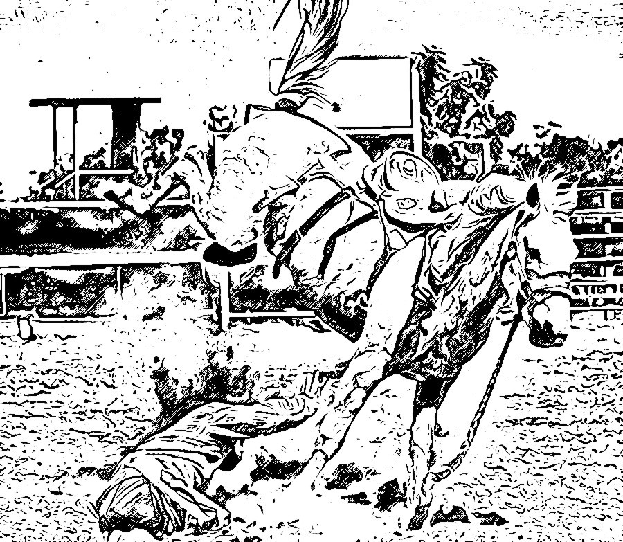 Rodeo Digital Drawing4 by Enchanted367Part2 on DeviantArt