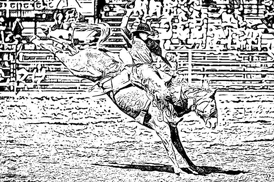 Rodeo Digital Drawing6 by Enchanted367Part2 on DeviantArt