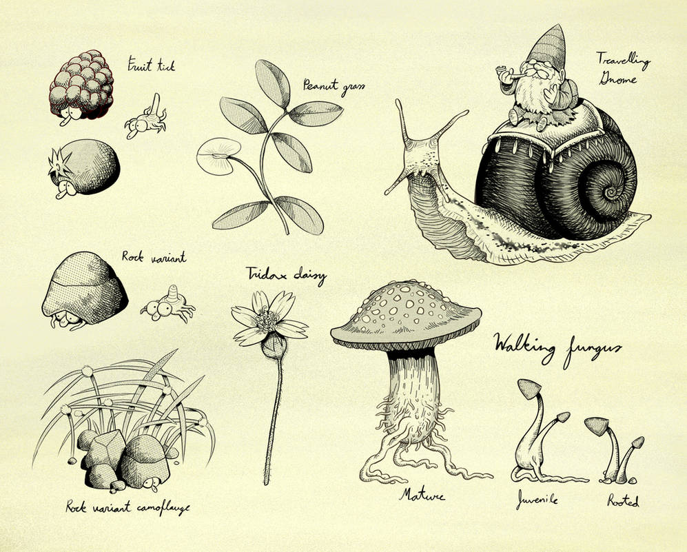 Garden Colorless Garden Creatures (colorless) by EggsandEggsandEggs on DeviantArt