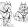 Seth Wellington Werewolf Character Studies