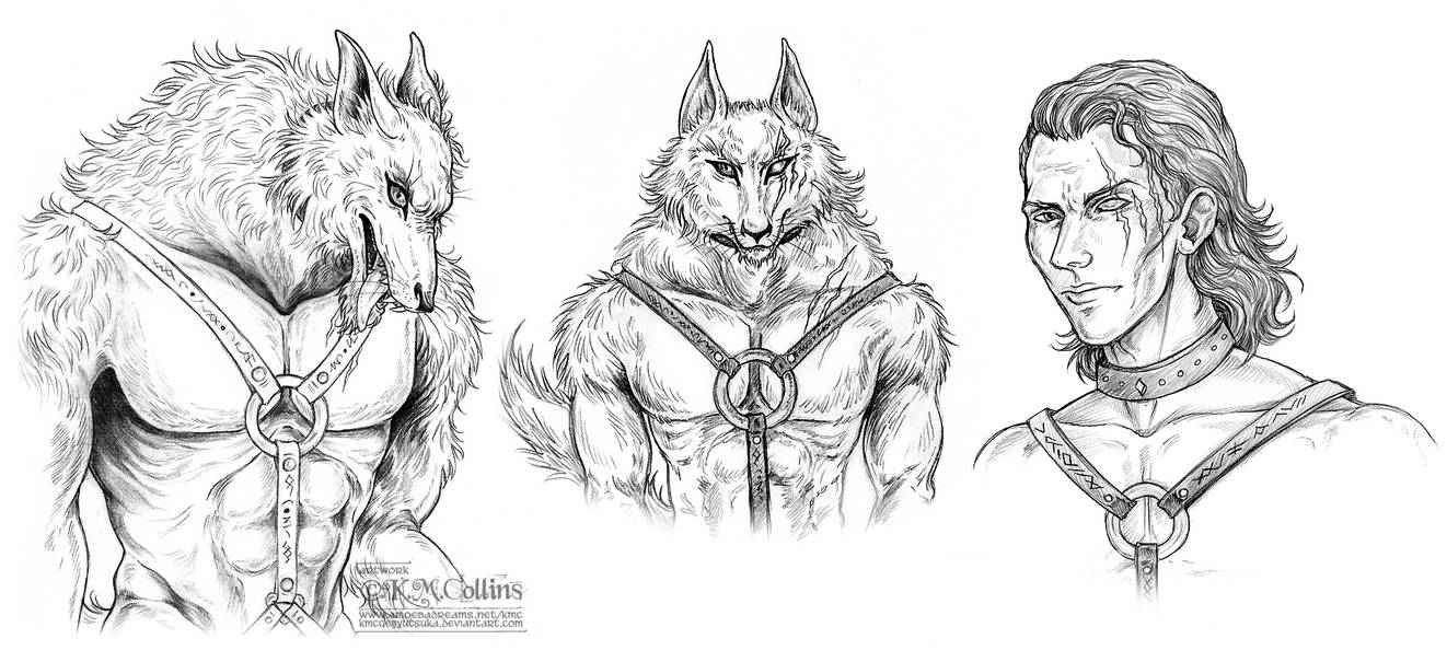 Seth Werewolf Seth Wellington Werewolf Character Studies by KMCgeijyutsuka on DeviantArt