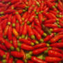 red pepper