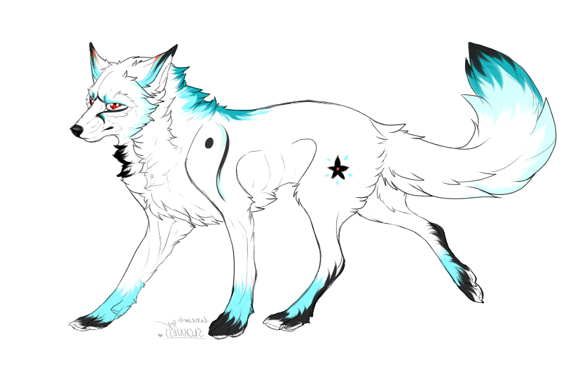 White Wolf Adoptable :: Closed