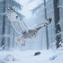 Wild 66 (HD)