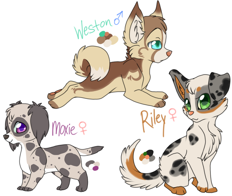 Pup Adoptables CLOSED