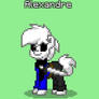 I made Alexandre in pony town!