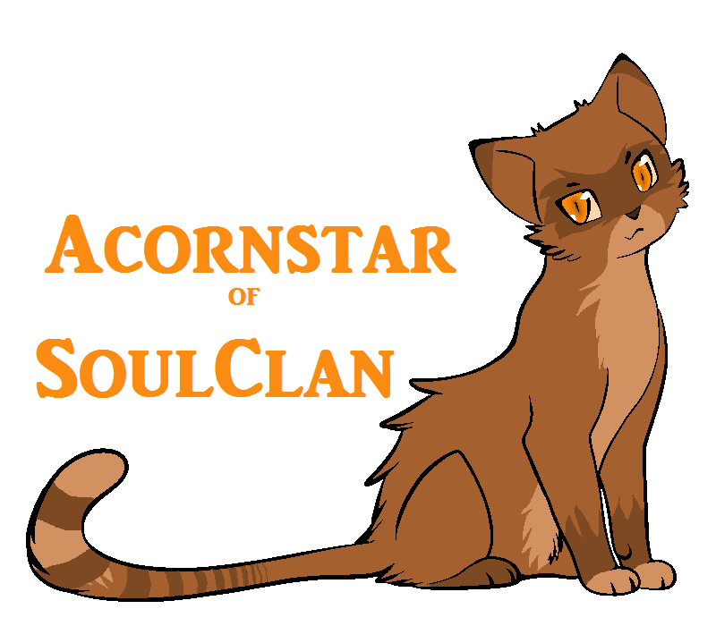 Acornstar of SoulClan