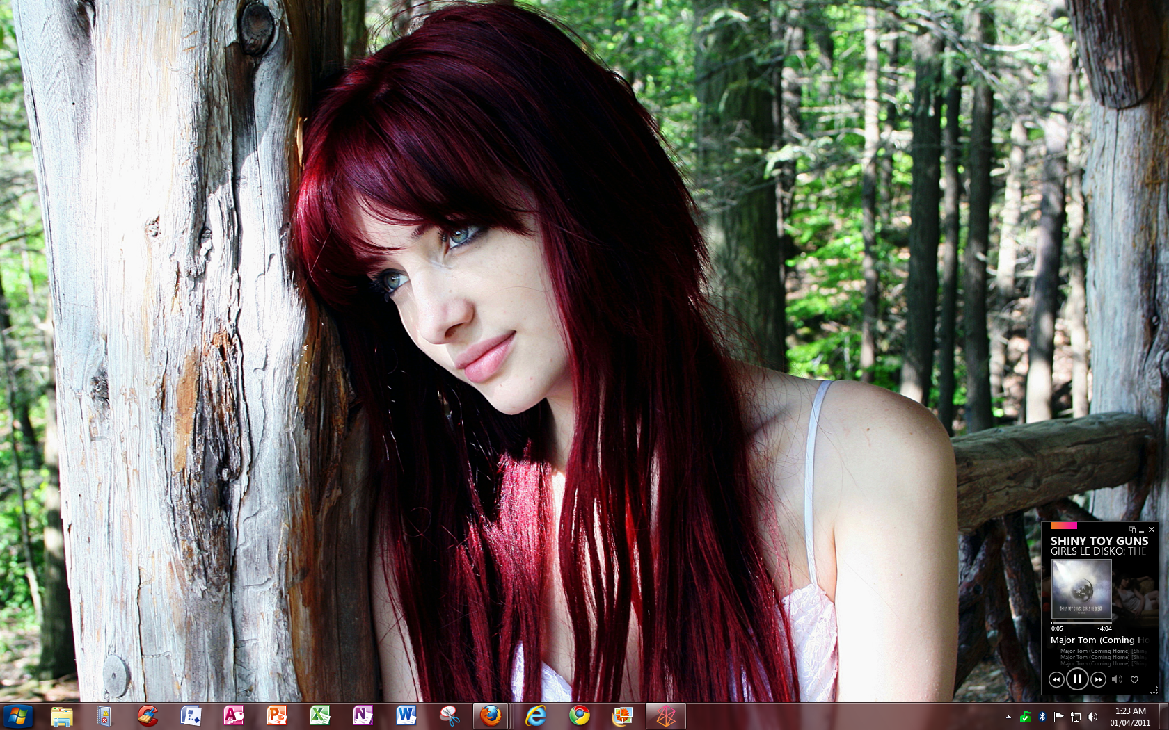 Second January 2011 Desktop